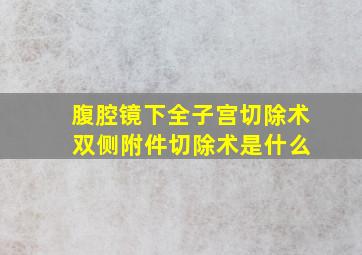 腹腔镜下全子宫切除术 双侧附件切除术是什么